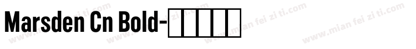 Marsden Cn Bold字体转换